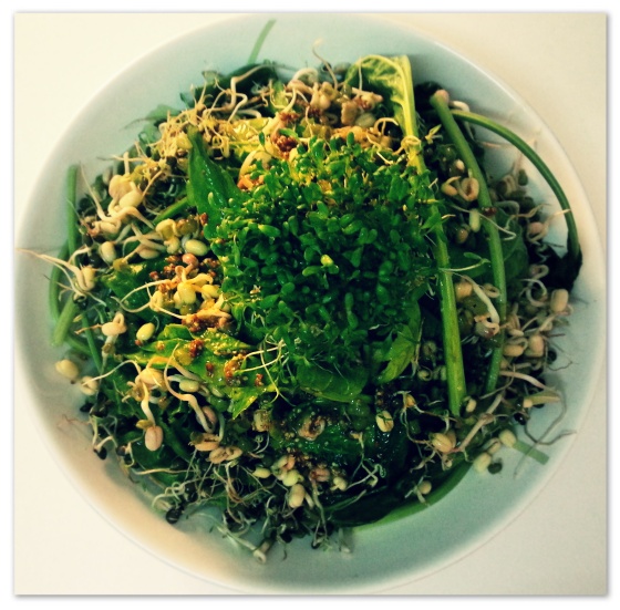 Hot tufo, spinach and mung bean sprouts salad (raw)